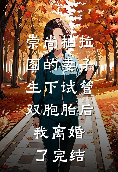 崇尚柏拉图的妻子生下试管双胞胎后，我离婚了完结