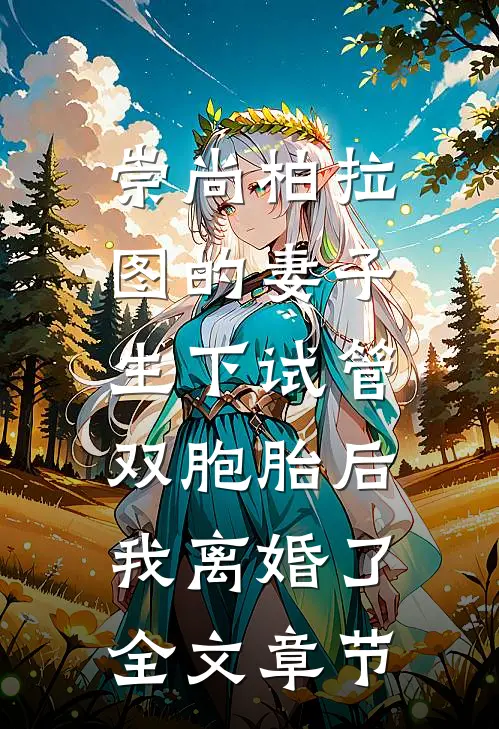 崇尚柏拉图的妻子生下试管双胞胎后，我离婚了全文章节