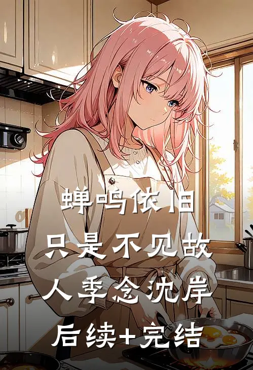 蝉鸣依旧，只是不见故人季念沈岸后续+完结