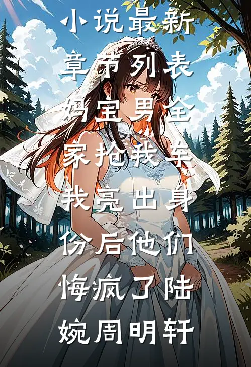 妈宝男全家抢我车，我亮出身份后他们悔疯了陆婉周明轩热门网络小说_最新章节列表妈宝男全家抢我车，我亮出身份后他们悔疯了(陆婉周明轩)