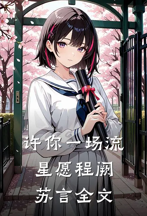 许你一场流星愿程阙苏言全文