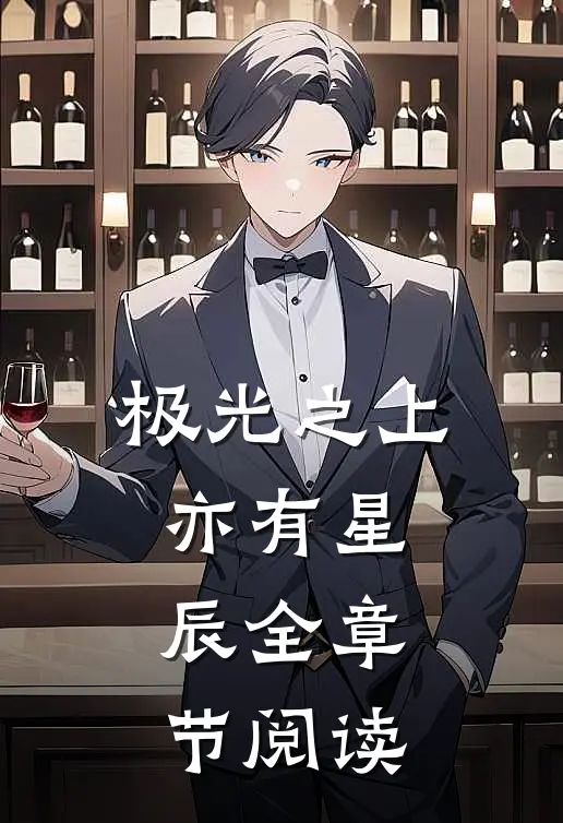 极光之上亦有星辰全章节阅读