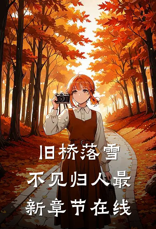 旧桥落雪，不见归人最新章节在线