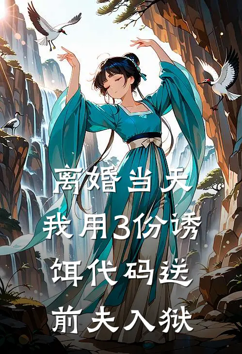 离婚当天，我用3份诱饵代码送前夫入狱