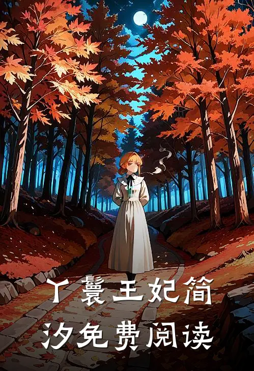 丫鬟王妃简汐免费阅读