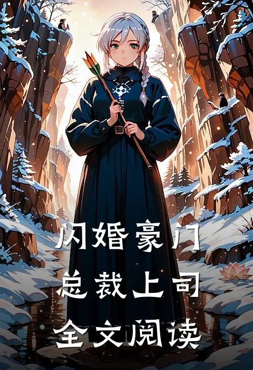 闪婚豪门总裁上司全文阅读