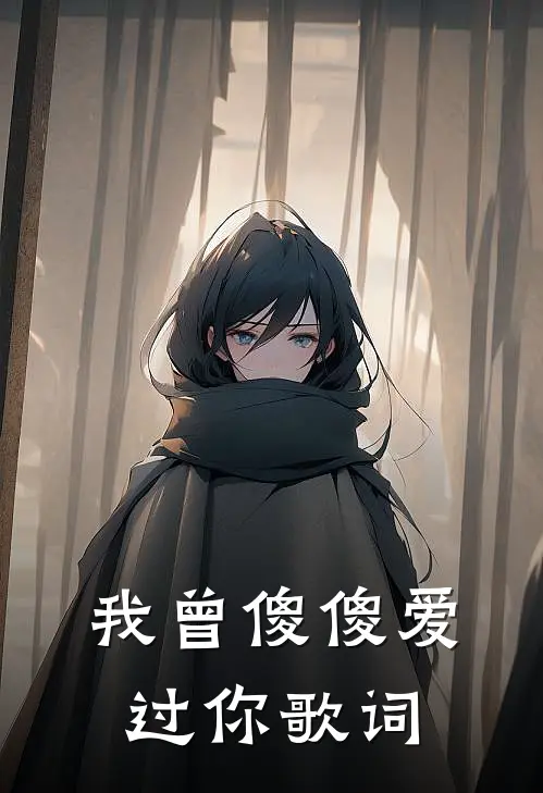 我曾傻傻爱过你歌词