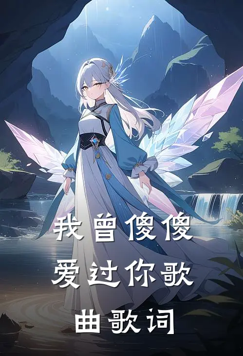 我曾傻傻爱过你歌曲歌词