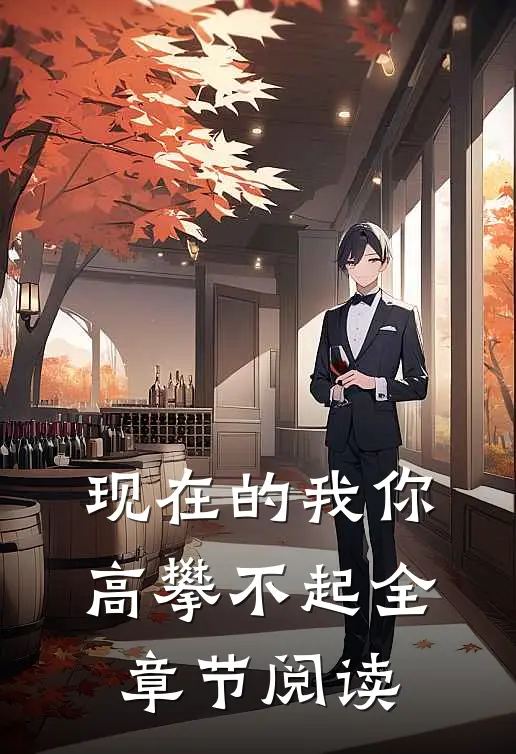 现在的我你高攀不起全章节阅读