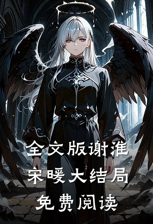 全文版谢淮宋暖大结局免费阅读