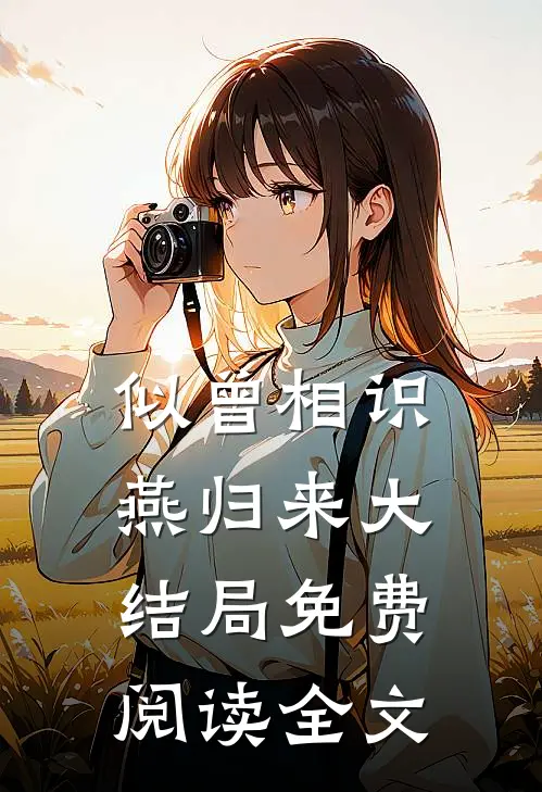 似曾相识燕归来大结局免费阅读全文