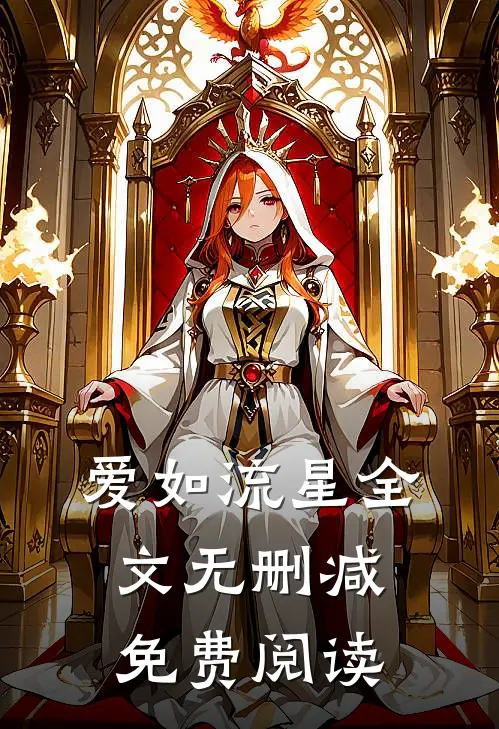 爱如流星全文无删减免费阅读