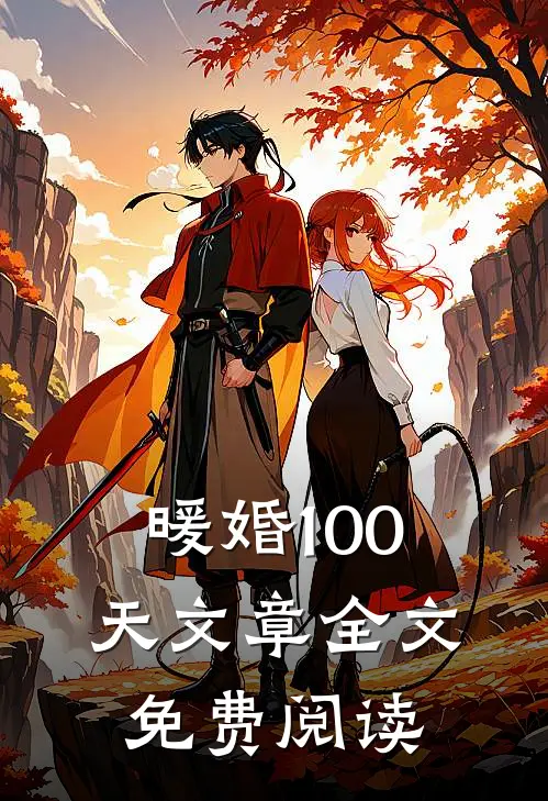 暖婚100天文章全文免费阅读