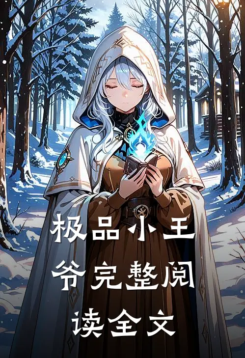 极品小王爷完整阅读全文