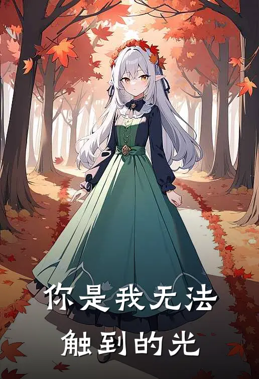 你是我无法触到的光