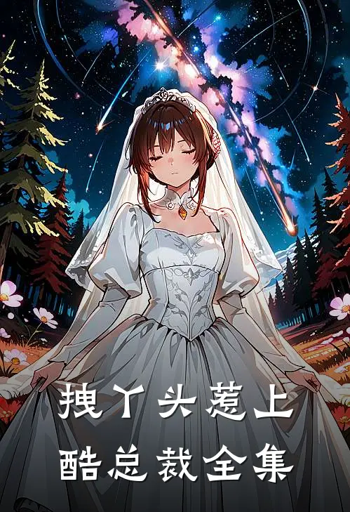 拽丫头惹上酷总裁全集