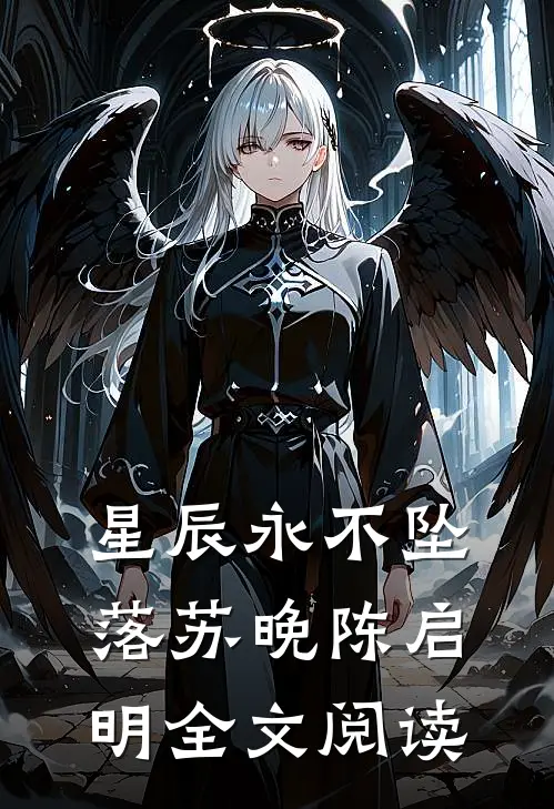 星辰永不坠落苏晚陈启明全文阅读