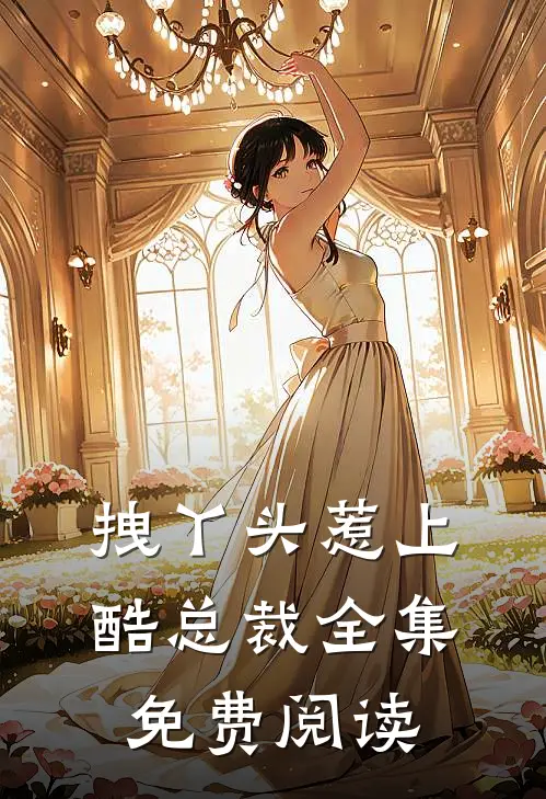 拽丫头惹上酷总裁全集免费阅读