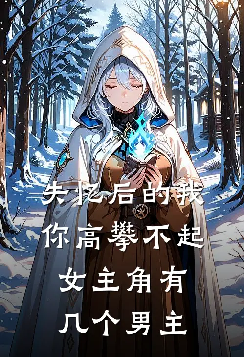 失忆后的我你高攀不起女主角有几个男主