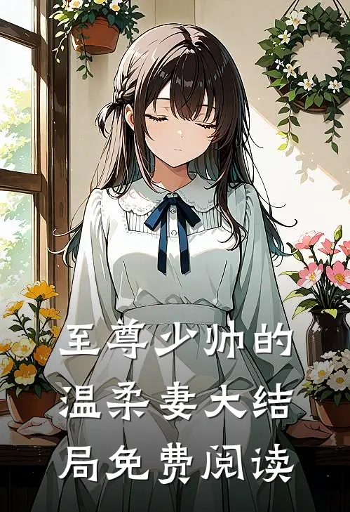 至尊少帅的温柔妻大结局免费阅读