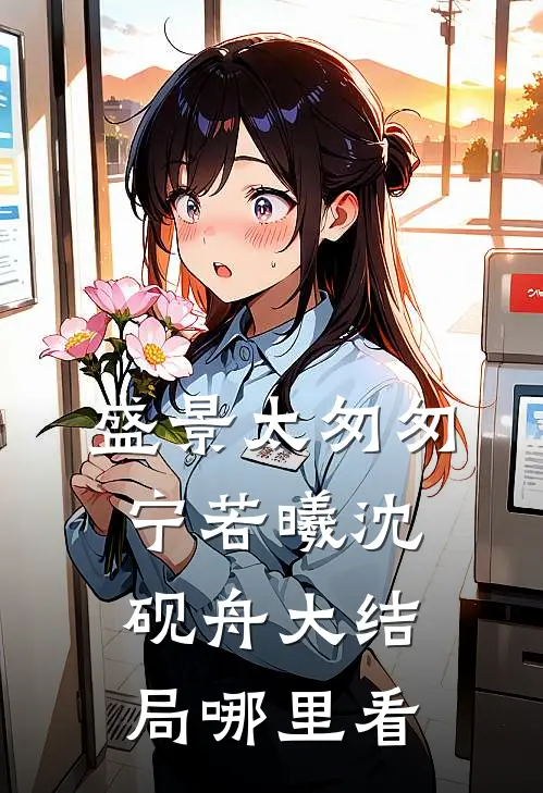 盛景太匆匆宁若曦沈砚舟大结局哪里看