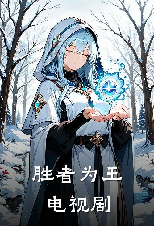 胜者为王 电视剧