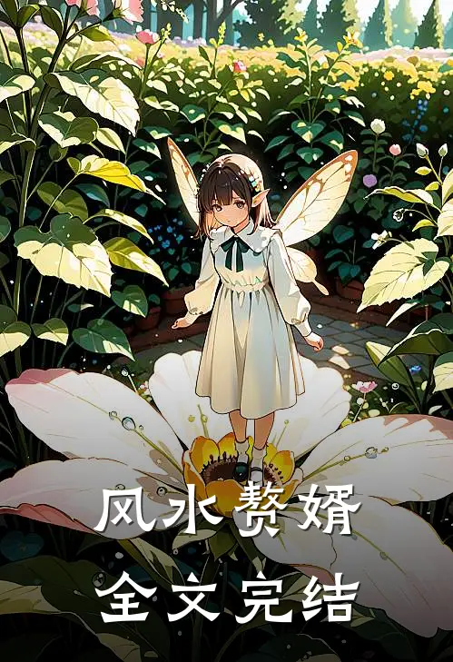 风水赘婿全文完结