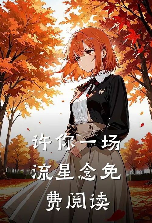 许你一场流星念免费阅读