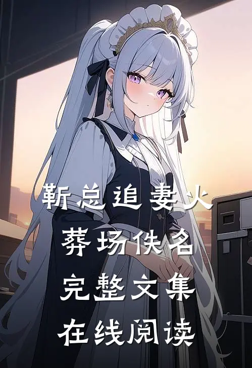 靳总追妻火葬场佚名完整文集在线阅读