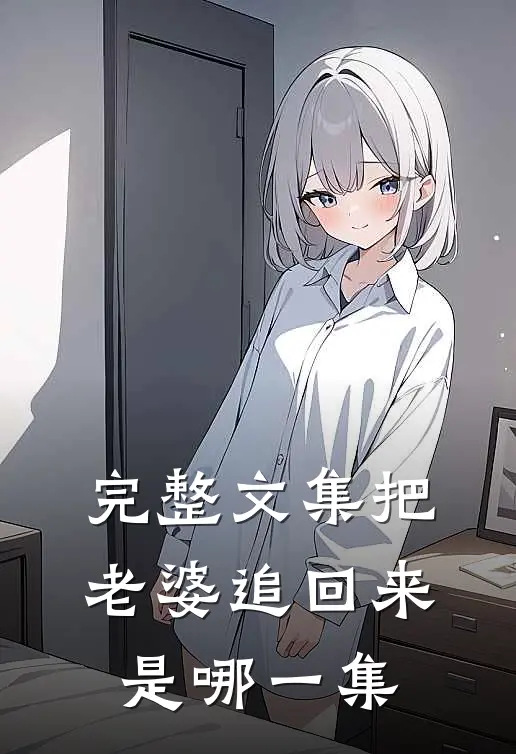 完整文集把老婆追回来是哪一集