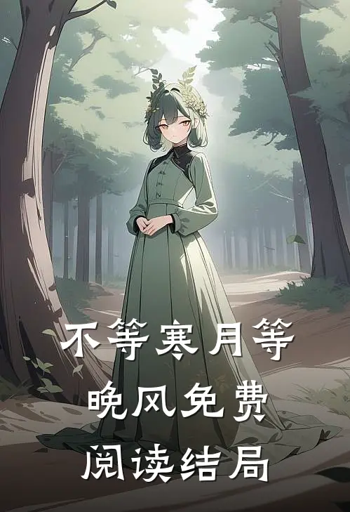 不等寒月等晚风免费阅读结局