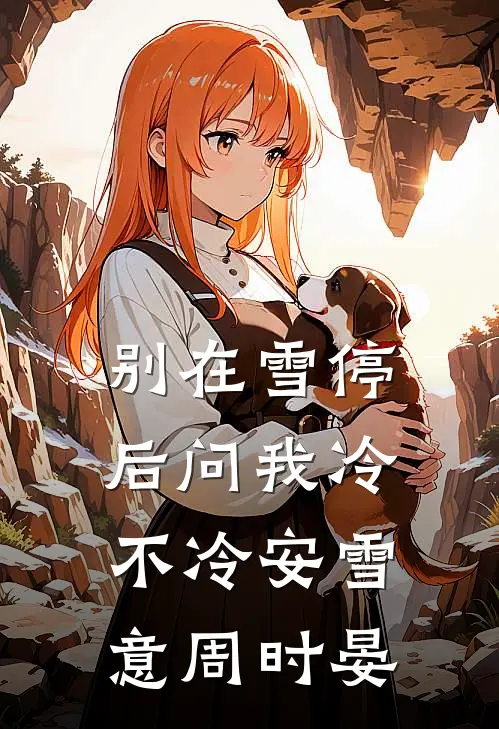 别在雪停后问我冷不冷安雪意周时晏