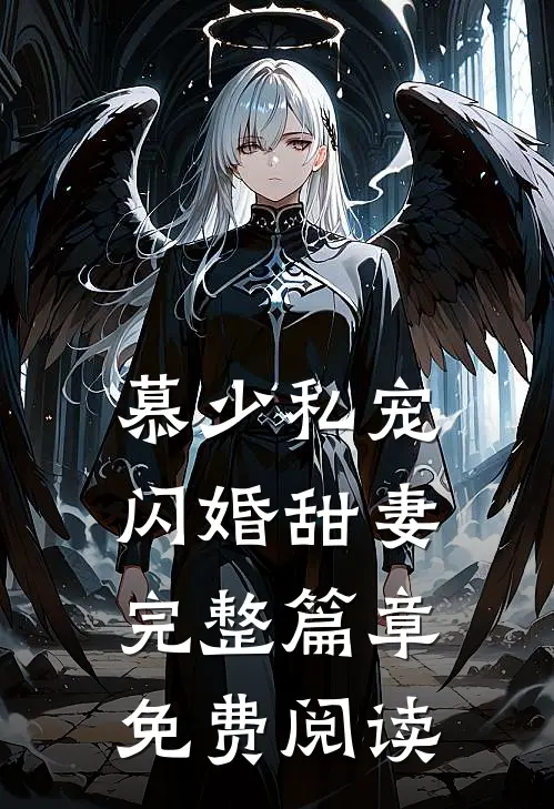 慕少私宠闪婚甜妻完整篇章免费阅读