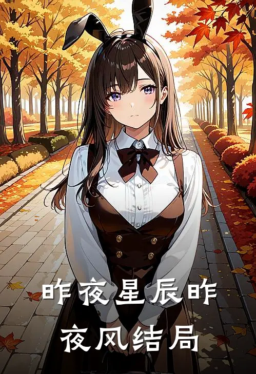 昨夜星辰昨夜风结局