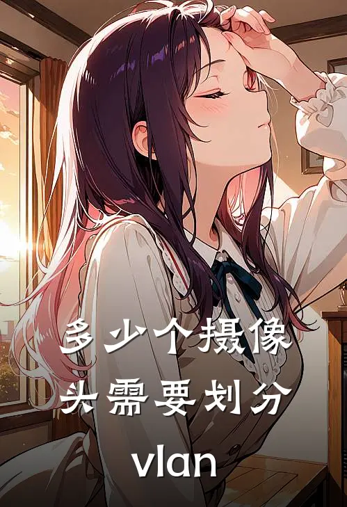 多少个摄像头需要划分vlan