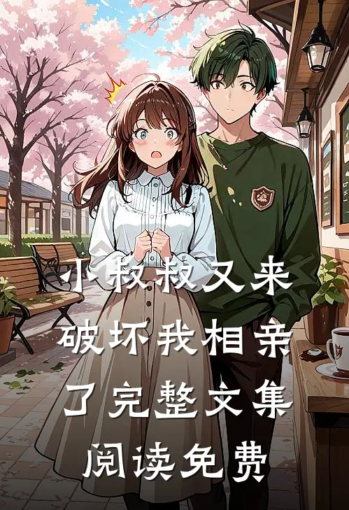 小叔叔又来破坏我相亲了完整文集阅读免费