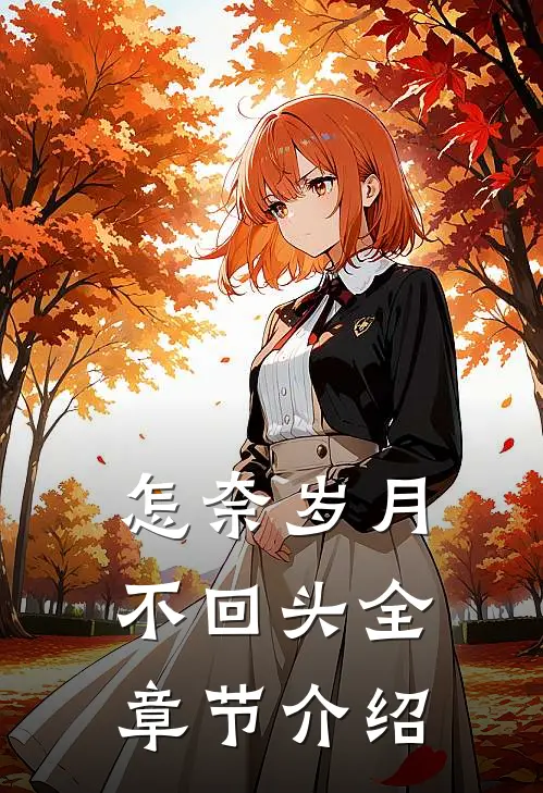 怎奈岁月不回头全章节介绍
