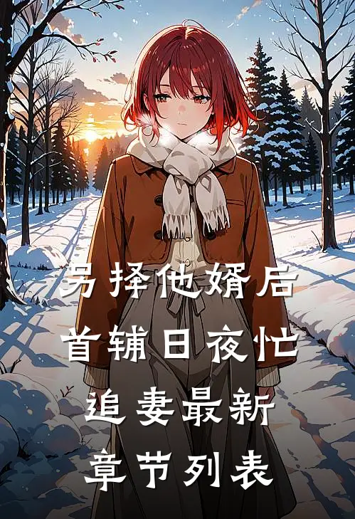 另择他婿后，首辅日夜忙追妻最新章节列表