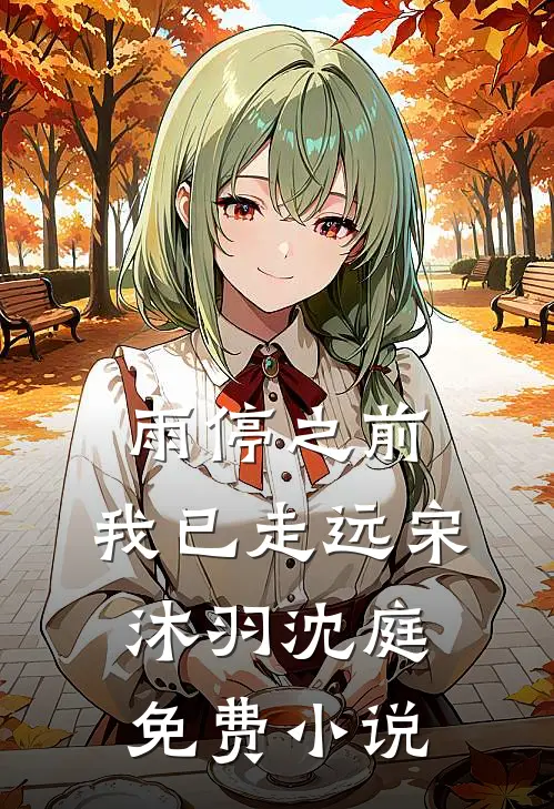 雨停之前，我已走远宋沐羽沈庭免费小说