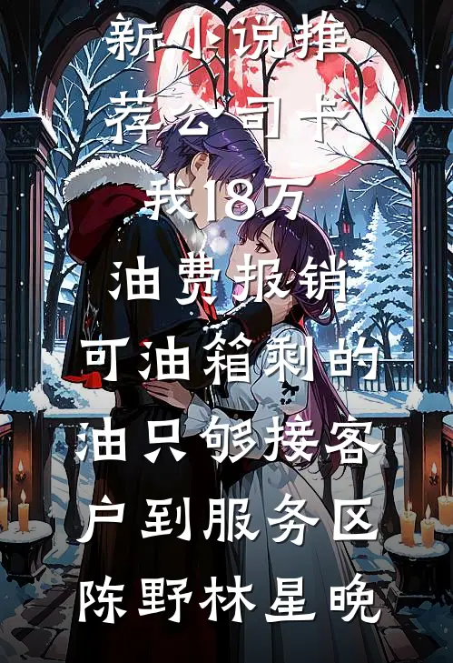 公司卡我18万油费报销，可油箱剩的油只够接客户到服务区(陈野林星晚)完整版小说_最新小说推荐公司卡我18万油费报销，可油箱剩的油只够接客户到服务区(陈野林星晚)