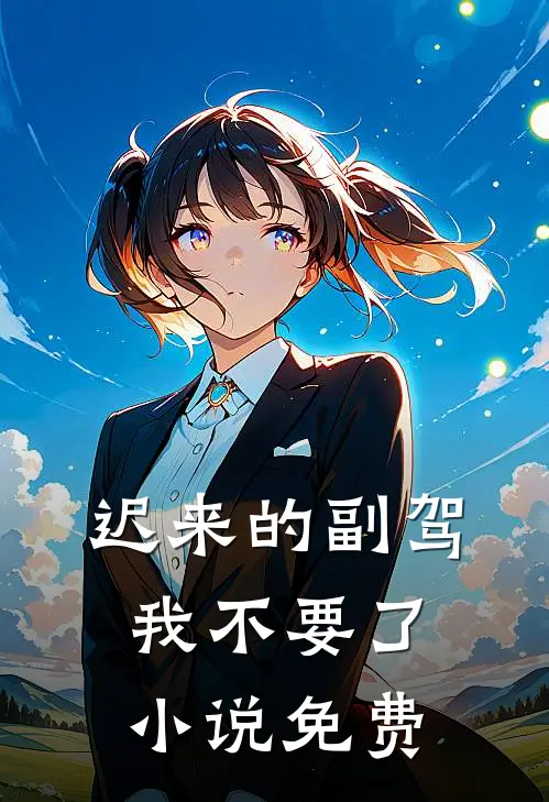 迟来的副驾，我不要了小说免费