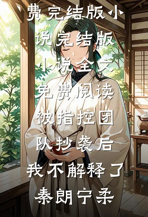 被指控团队抄袭后，我不解释了(秦朗宁柔)免费完结版小说_完结版小说全文免费阅读被指控团队抄袭后，我不解释了(秦朗宁柔)