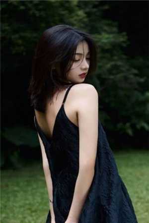 一树梨花压海棠优质全文阅读