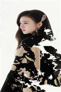 曾以长风寄情深小说免费阅读