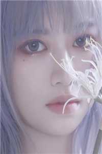 新婚夜，离婚时畅读