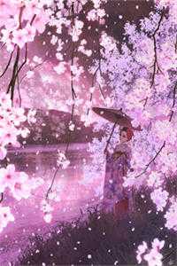 抢了个199的婚纱照团购后，我果断和老公离婚好书