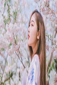 永夜今安忆旧年沈裴之姜鸢完结文