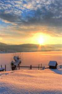 从此不敢见繁花全文无删减