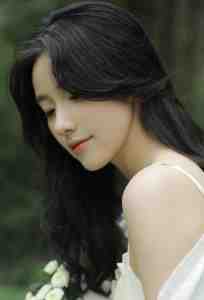 晚风轻拂旧相思小说在线阅读免费