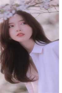 他向黎明乘风去完结文